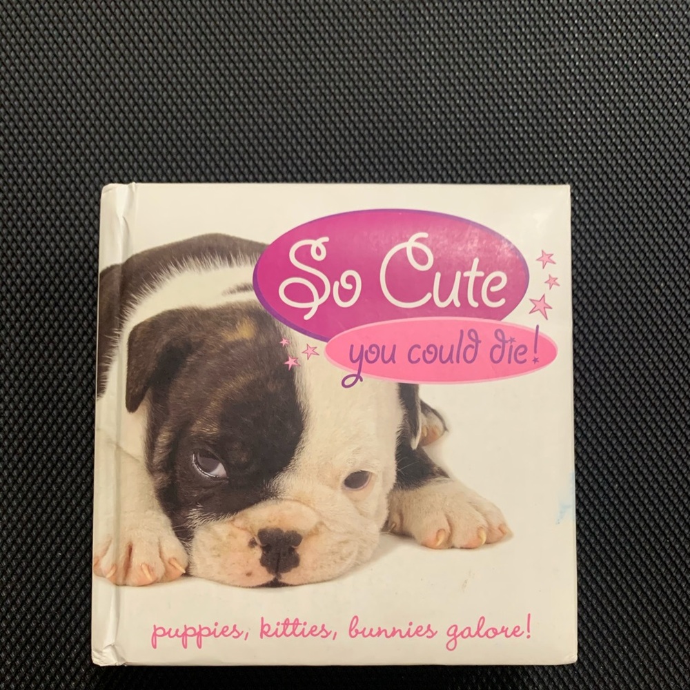 5/$20 So Cute You Could Die Animal Book